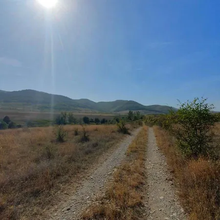 Guest Krasi * Strazja