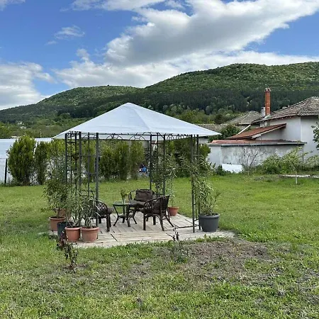 Guest Krasi * Strazja