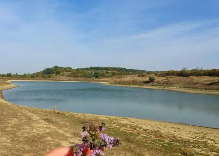 Guest Krasi * Strazja