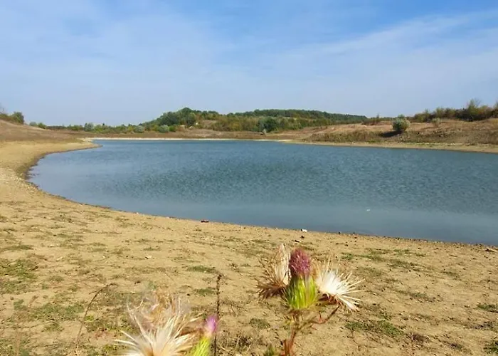 Селска къща за гости Guest Krasi