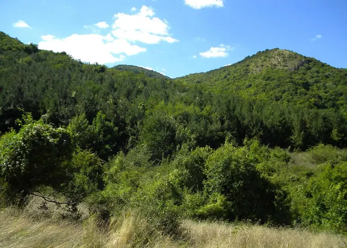 Селска къща за гости Guest Krasi Strazja