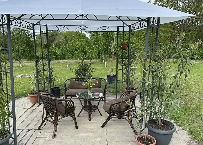 Guest Krasi * Strazja